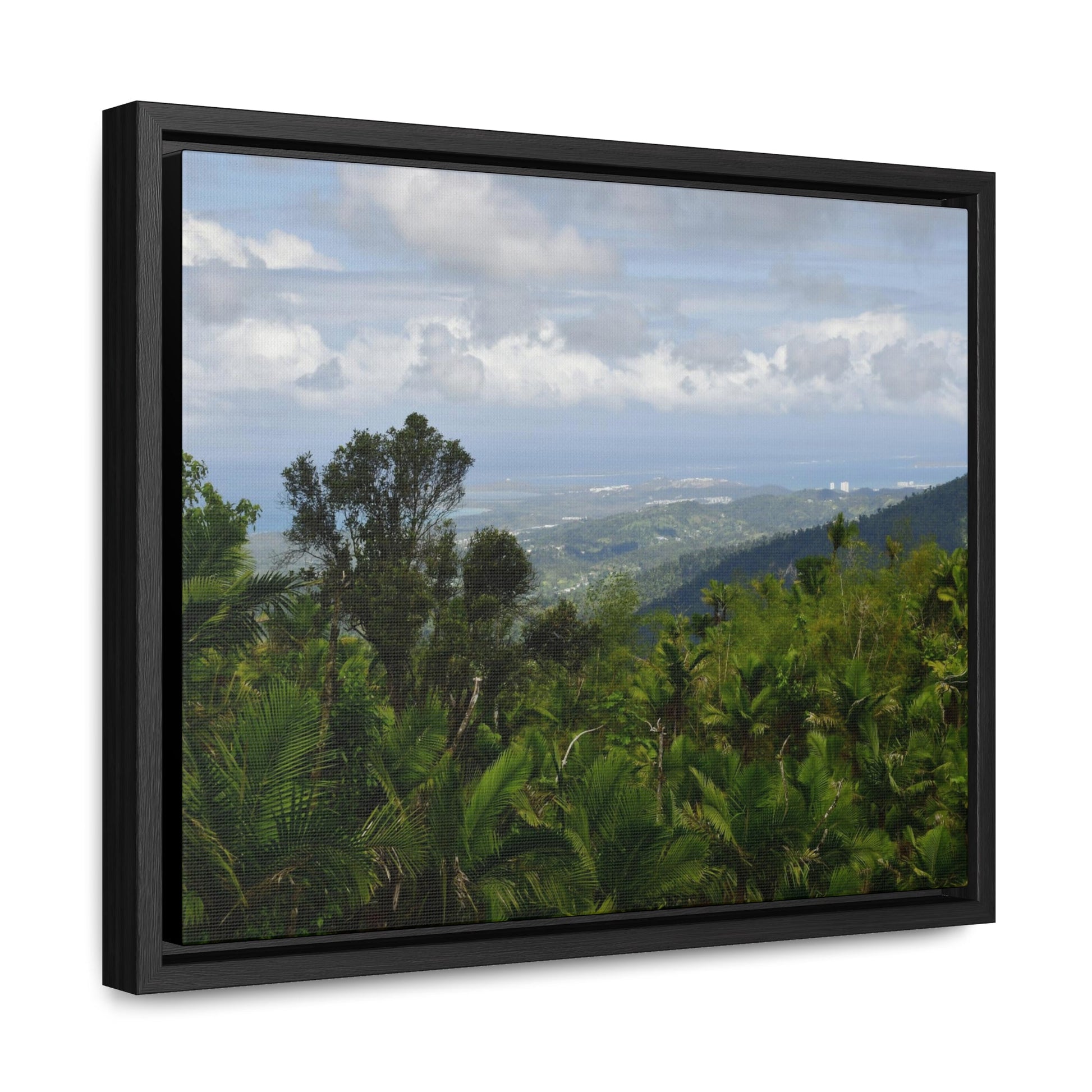 Rainforest Trails & Views - Gallery Canvas Wraps, Horizontal Frame - El Yunque National Forest - Puerto Rico - Awesome views from the main road PR 191 - Green Forest Home