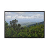 Rainforest Trails & Views - Gallery Canvas Wraps, Horizontal Frame - El Yunque National Forest - Puerto Rico - Awesome views from the main road PR 191 - Green Forest Home
