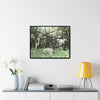 Rainforest Trails & Views - Gallery Canvas Wraps, Horizontal Frame - El Yunque National Forest - Puerto Rico - Bamboo destroyed by Hurricane Maria - Green Forest Home