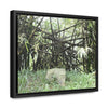 Rainforest Trails & Views - Gallery Canvas Wraps, Horizontal Frame - El Yunque National Forest - Puerto Rico - Bamboo destroyed by Hurricane Maria - Green Forest Home