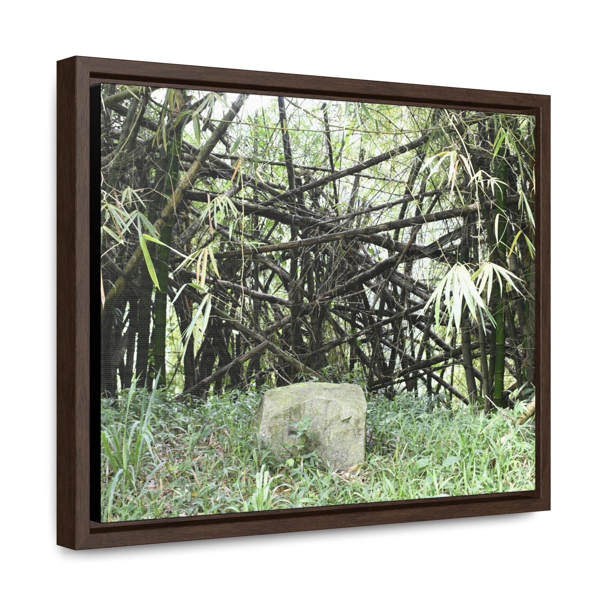 Rainforest Trails & Views - Gallery Canvas Wraps, Horizontal Frame - El Yunque National Forest - Puerto Rico - Bamboo destroyed by Hurricane Maria - Green Forest Home