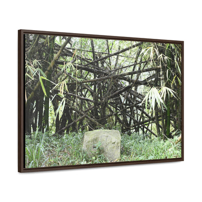 Rainforest Trails & Views - Gallery Canvas Wraps, Horizontal Frame - El Yunque National Forest - Puerto Rico - Bamboo destroyed by Hurricane Maria - Green Forest Home