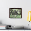 Rainforest Trails & Views - Gallery Canvas Wraps, Horizontal Frame - El Yunque National Forest - Puerto Rico - Bamboo destroyed by Hurricane Maria - Green Forest Home