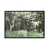 Rainforest Trails & Views - Gallery Canvas Wraps, Horizontal Frame - El Yunque National Forest - Puerto Rico - Bamboo destroyed by Hurricane Maria - Green Forest Home