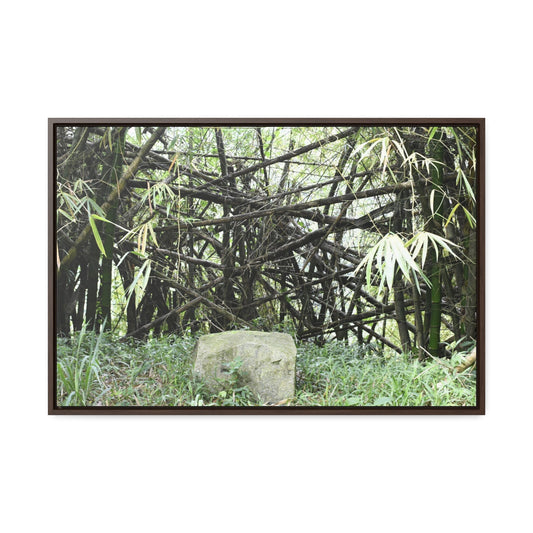 Rainforest Trails & Views - Gallery Canvas Wraps, Horizontal Frame - El Yunque National Forest - Puerto Rico - Bamboo destroyed by Hurricane Maria - Green Forest Home