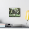 Rainforest Trails & Views - Gallery Canvas Wraps, Horizontal Frame - El Yunque National Forest - Puerto Rico - Bamboo destroyed by Hurricane Maria - Green Forest Home