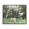 Rainforest Trails & Views - Gallery Canvas Wraps, Horizontal Frame - El Yunque National Forest - Puerto Rico - Bamboo destroyed by Hurricane Maria - Green Forest Home
