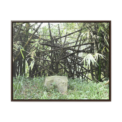 Rainforest Trails & Views - Gallery Canvas Wraps, Horizontal Frame - El Yunque National Forest - Puerto Rico - Bamboo destroyed by Hurricane Maria - Green Forest Home