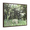 Rainforest Trails & Views - Gallery Canvas Wraps, Horizontal Frame - El Yunque National Forest - Puerto Rico - Bamboo destroyed by Hurricane Maria - Green Forest Home
