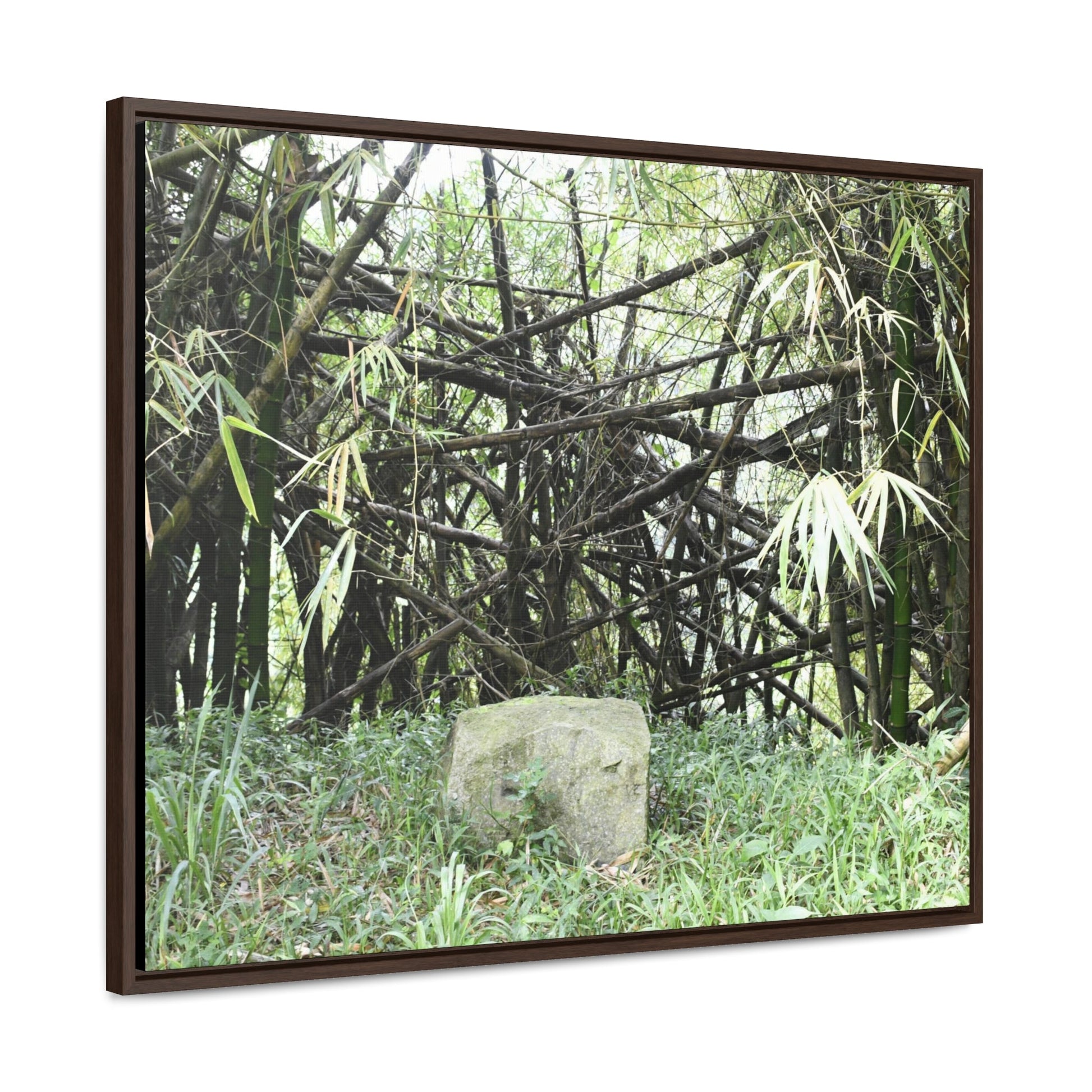 Rainforest Trails & Views - Gallery Canvas Wraps, Horizontal Frame - El Yunque National Forest - Puerto Rico - Bamboo destroyed by Hurricane Maria - Green Forest Home