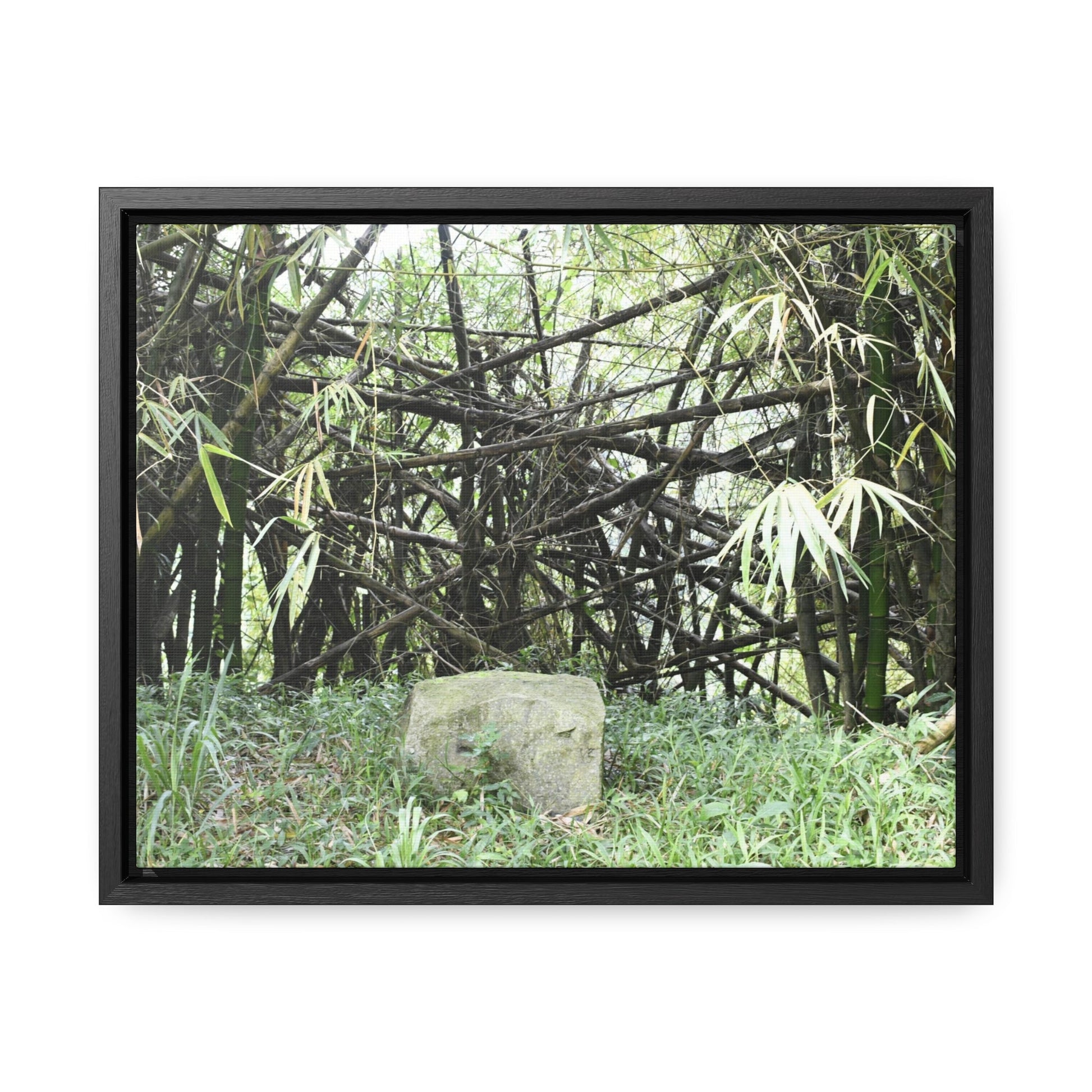 Rainforest Trails & Views - Gallery Canvas Wraps, Horizontal Frame - El Yunque National Forest - Puerto Rico - Bamboo destroyed by Hurricane Maria - Green Forest Home