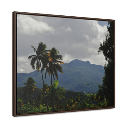 Rainforest Trails & Views - Gallery Canvas Wraps, Horizontal Frame - El Yunque National Forest - Puerto Rico - Broad view of El Yunque peak from the Luquillo beach - Green Forest Home