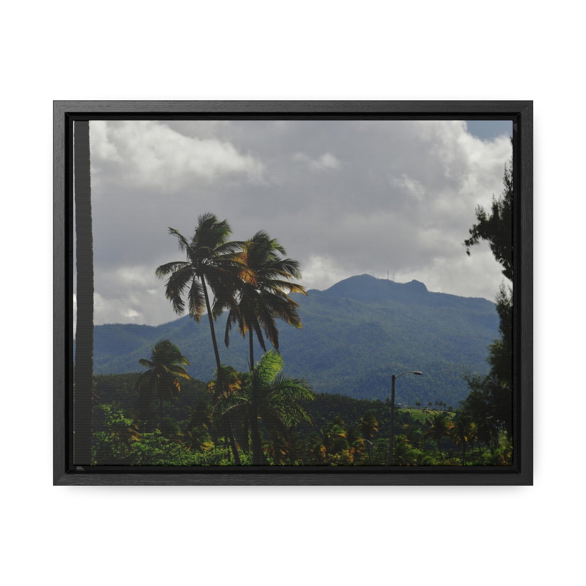 Rainforest Trails & Views - Gallery Canvas Wraps, Horizontal Frame - El Yunque National Forest - Puerto Rico - Broad view of El Yunque peak from the Luquillo beach - Green Forest Home