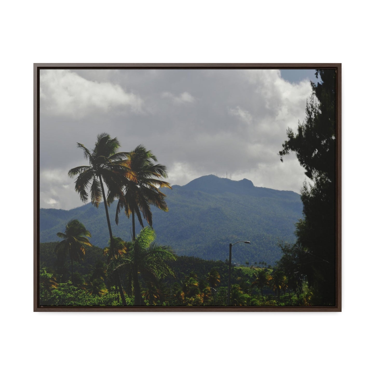 Rainforest Trails & Views - Gallery Canvas Wraps, Horizontal Frame - El Yunque National Forest - Puerto Rico - Broad view of El Yunque peak from the Luquillo beach - Green Forest Home