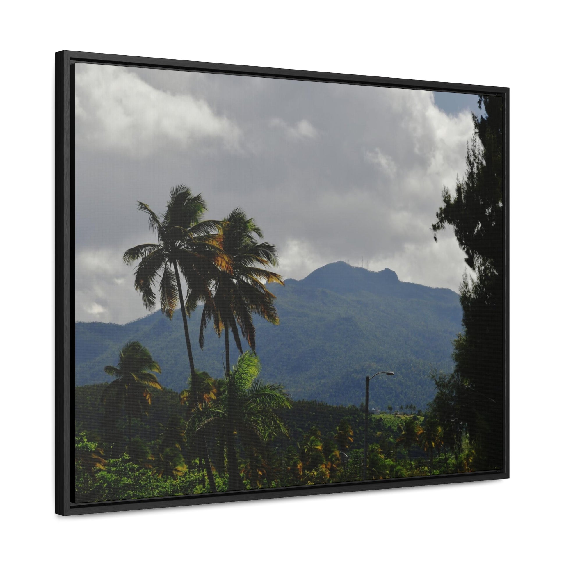 Rainforest Trails & Views - Gallery Canvas Wraps, Horizontal Frame - El Yunque National Forest - Puerto Rico - Broad view of El Yunque peak from the Luquillo beach - Green Forest Home
