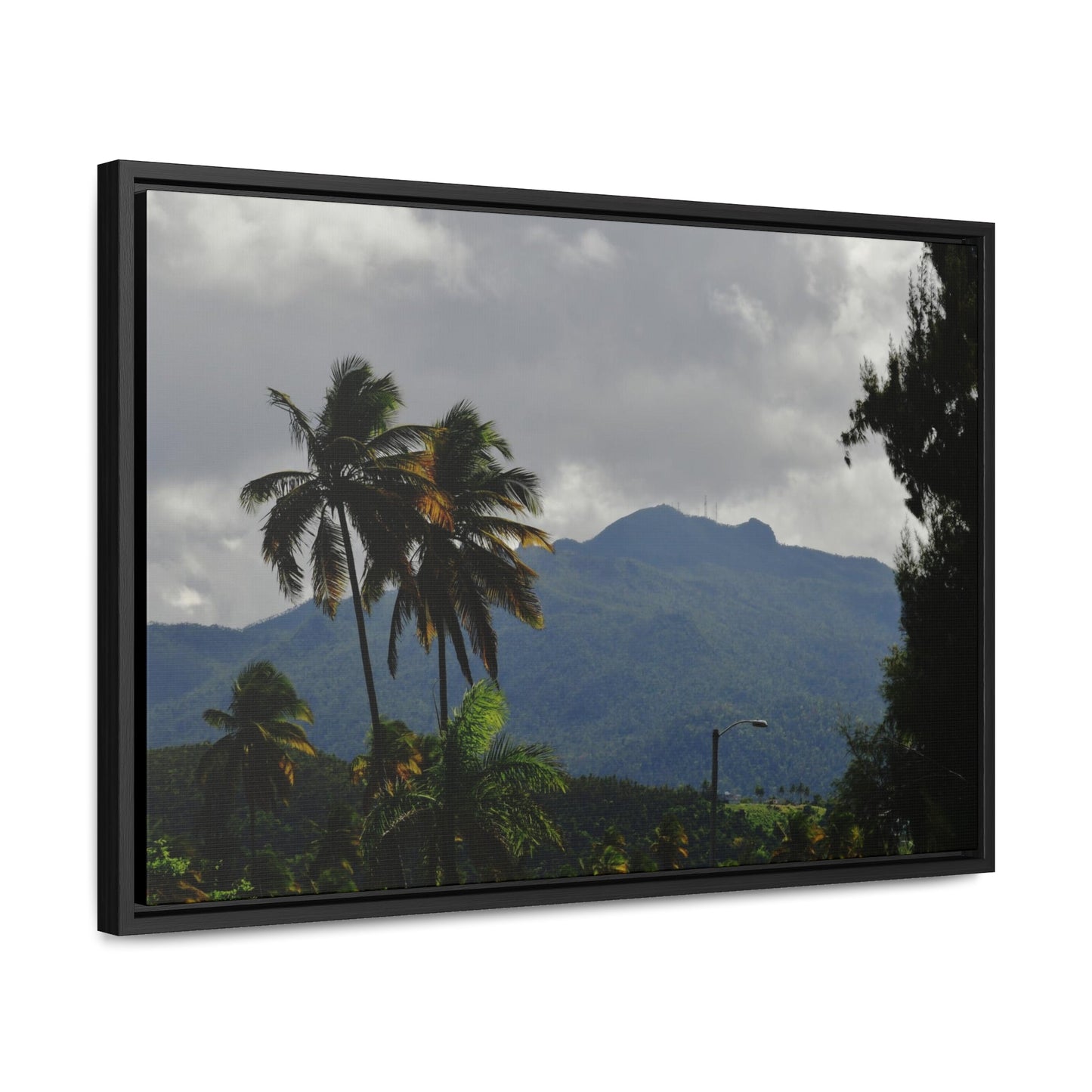 Rainforest Trails & Views - Gallery Canvas Wraps, Horizontal Frame - El Yunque National Forest - Puerto Rico - Broad view of El Yunque peak from the Luquillo beach - Green Forest Home