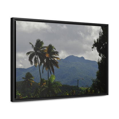 Rainforest Trails & Views - Gallery Canvas Wraps, Horizontal Frame - El Yunque National Forest - Puerto Rico - Broad view of El Yunque peak from the Luquillo beach - Green Forest Home