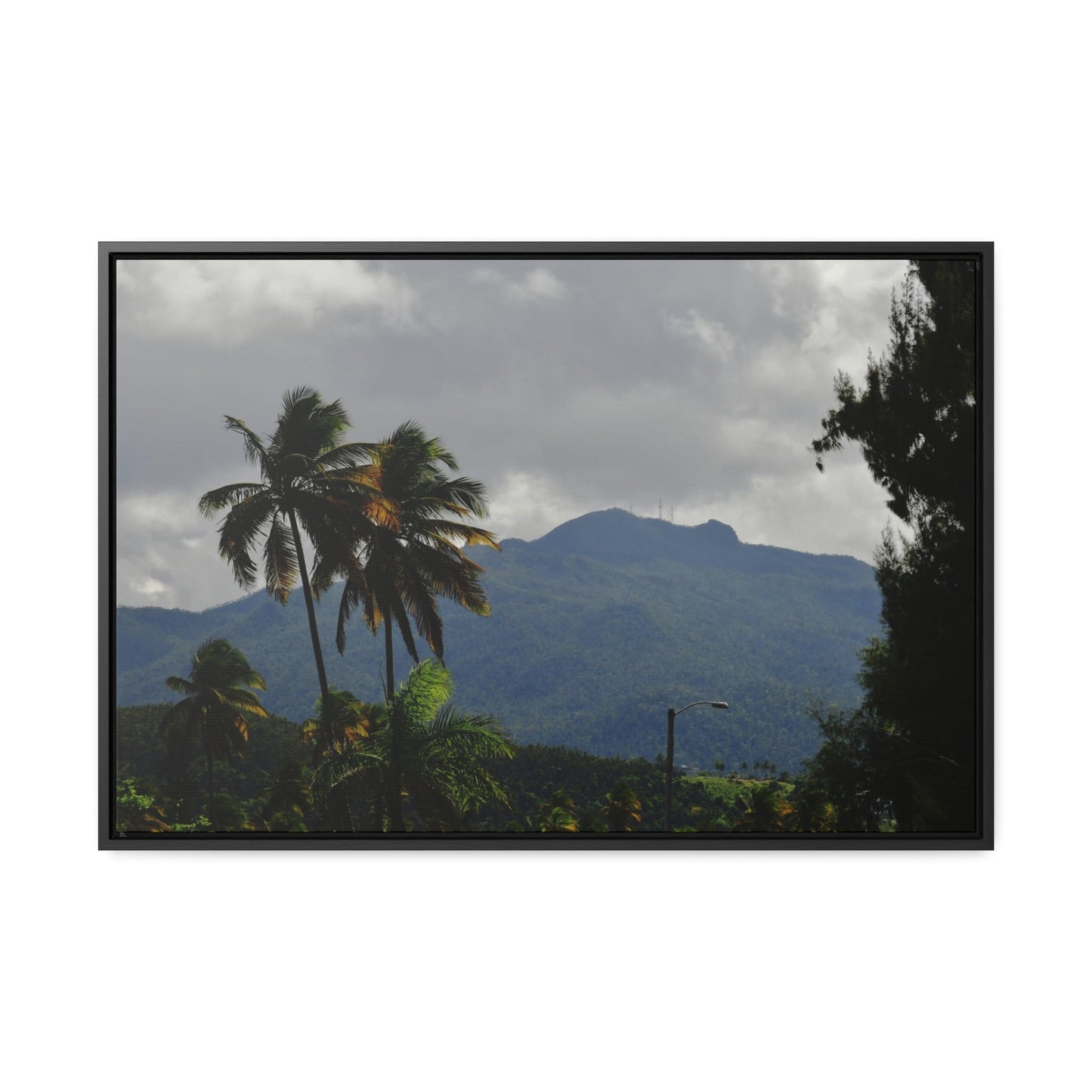 Rainforest Trails & Views - Gallery Canvas Wraps, Horizontal Frame - El Yunque National Forest - Puerto Rico - Broad view of El Yunque peak from the Luquillo beach - Green Forest Home