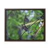 Rainforest Trails & Views - Gallery Canvas Wraps, Horizontal Frame - El Yunque National Forest - Puerto Rico - Butterflies dance in the forest - Green Forest Home