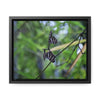 Rainforest Trails & Views - Gallery Canvas Wraps, Horizontal Frame - El Yunque National Forest - Puerto Rico - Butterflies dance in the forest - Green Forest Home