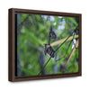 Rainforest Trails & Views - Gallery Canvas Wraps, Horizontal Frame - El Yunque National Forest - Puerto Rico - Butterflies dance in the forest - Green Forest Home