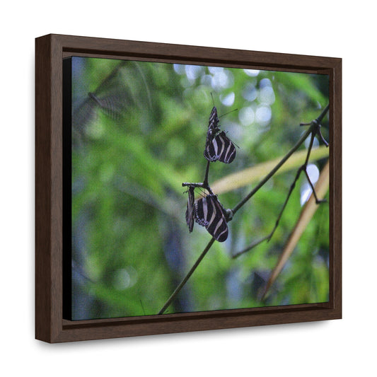 Rainforest Trails & Views - Gallery Canvas Wraps, Horizontal Frame - El Yunque National Forest - Puerto Rico - Butterflies dance in the forest - Green Forest Home