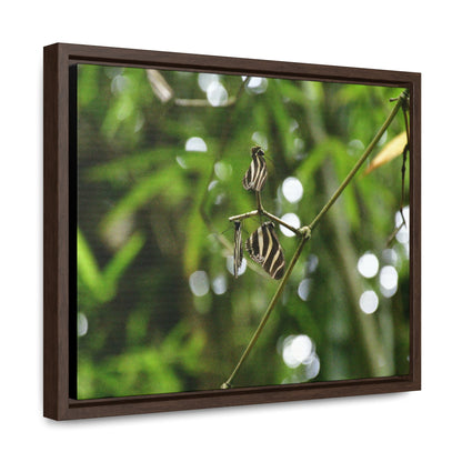 Rainforest Trails & Views - Gallery Canvas Wraps, Horizontal Frame - El Yunque National Forest - Puerto Rico - Butterflies in the forest - Green Forest Home