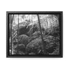 Rainforest Trails & Views - Gallery Canvas Wraps, Horizontal Frame - El Yunque National Forest - Puerto Rico - B&W Holy Spirit river huge boulders landslide - Green Forest Home