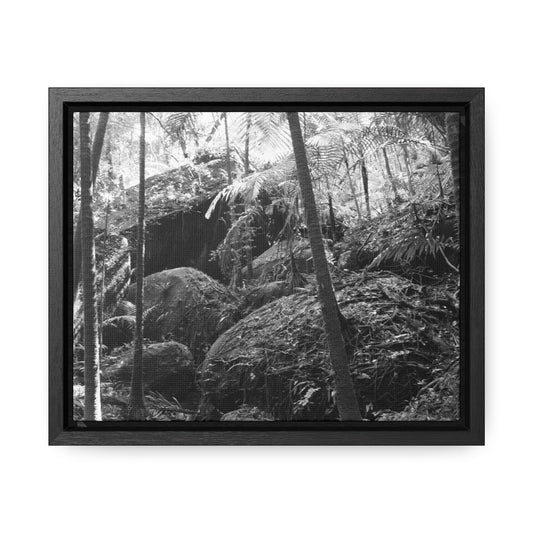 Rainforest Trails & Views - Gallery Canvas Wraps, Horizontal Frame - El Yunque National Forest - Puerto Rico - B&W Holy Spirit river huge boulders landslide - Green Forest Home