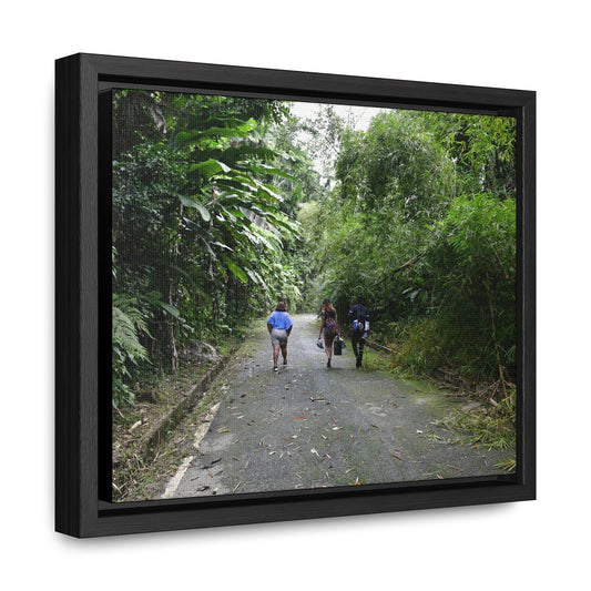 Rainforest Trails & Views - Gallery Canvas Wraps, Horizontal Frame - El Yunque National Forest - Puerto Rico - Campers in PR191 Rio Sabana - Green Forest Home