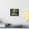 Rainforest Trails & Views - Gallery Canvas Wraps, Horizontal Frame - El Yunque National Forest - Puerto Rico - Campers in PR191 Rio Sabana - Green Forest Home