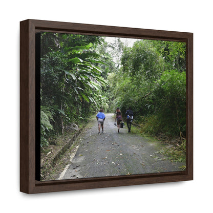 Rainforest Trails & Views - Gallery Canvas Wraps, Horizontal Frame - El Yunque National Forest - Puerto Rico - Campers in PR191 Rio Sabana - Green Forest Home