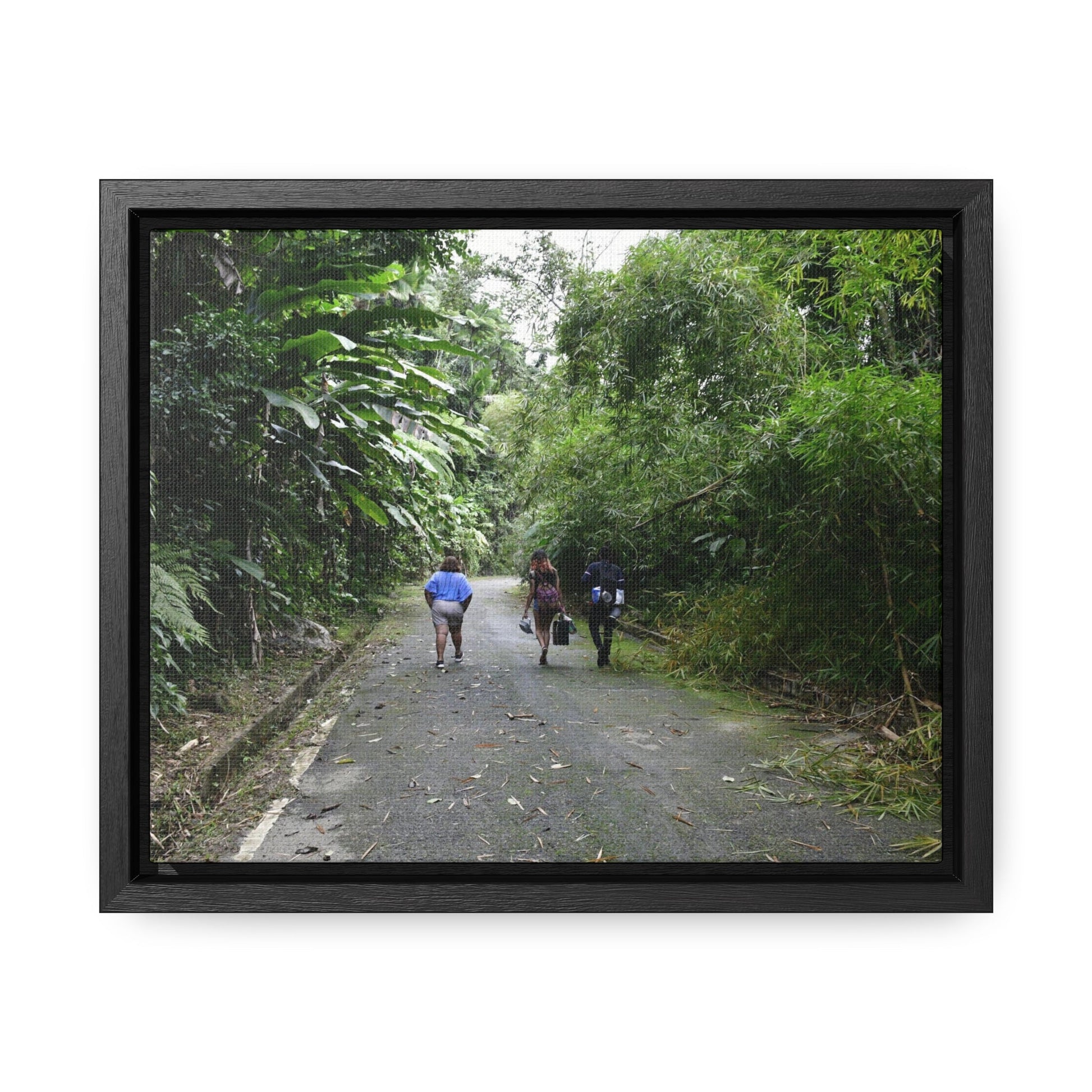 Rainforest Trails & Views - Gallery Canvas Wraps, Horizontal Frame - El Yunque National Forest - Puerto Rico - Campers in PR191 Rio Sabana - Green Forest Home