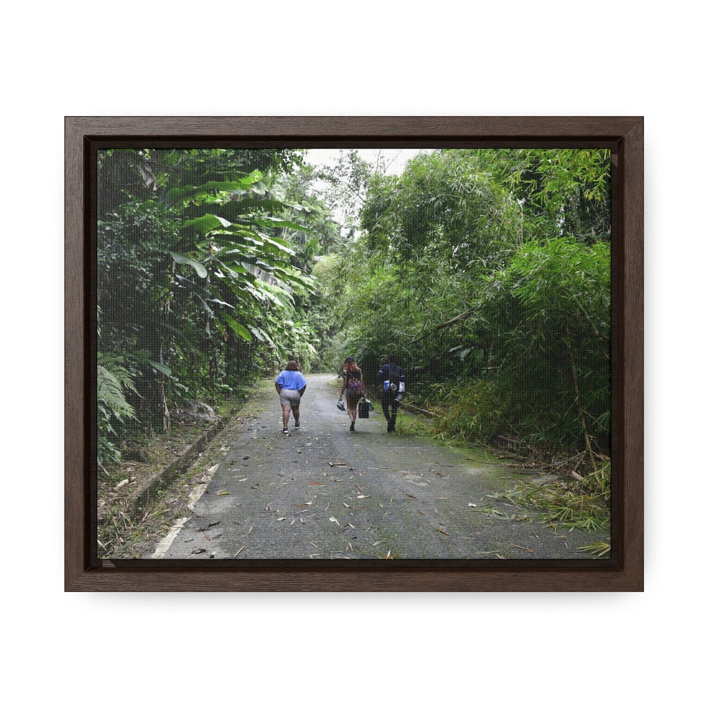 Rainforest Trails & Views - Gallery Canvas Wraps, Horizontal Frame - El Yunque National Forest - Puerto Rico - Campers in PR191 Rio Sabana - Green Forest Home