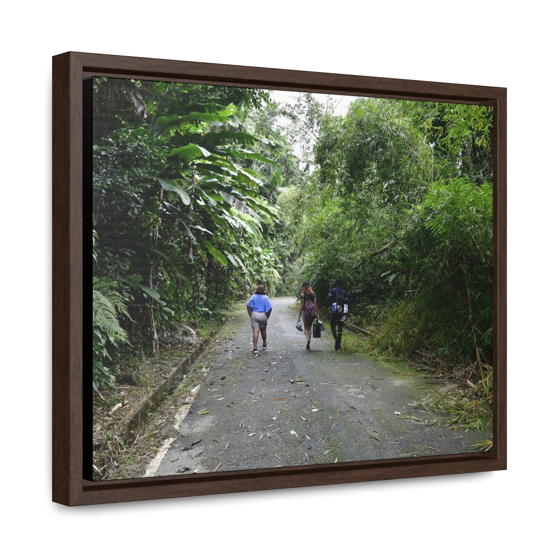 Rainforest Trails & Views - Gallery Canvas Wraps, Horizontal Frame - El Yunque National Forest - Puerto Rico - Campers in PR191 Rio Sabana - Green Forest Home