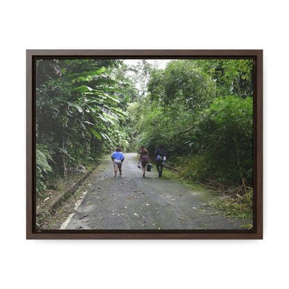 Rainforest Trails & Views - Gallery Canvas Wraps, Horizontal Frame - El Yunque National Forest - Puerto Rico - Campers in PR191 Rio Sabana - Green Forest Home