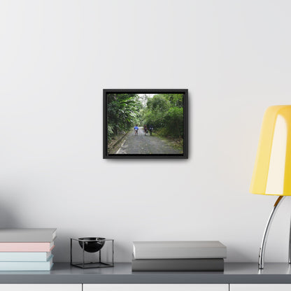Rainforest Trails & Views - Gallery Canvas Wraps, Horizontal Frame - El Yunque National Forest - Puerto Rico - Campers in PR191 Rio Sabana - Green Forest Home