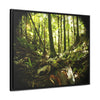 Rainforest Trails & Views - Gallery Canvas Wraps, Horizontal Frame - El Yunque National Forest - Puerto Rico - Circular view of the inner deep cloud forest - Green Forest Home