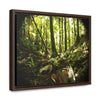 Rainforest Trails & Views - Gallery Canvas Wraps, Horizontal Frame - El Yunque National Forest - Puerto Rico - Circular view of the inner deep cloud forest - Green Forest Home