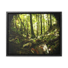 Rainforest Trails & Views - Gallery Canvas Wraps, Horizontal Frame - El Yunque National Forest - Puerto Rico - Circular view of the inner deep cloud forest - Green Forest Home
