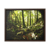 Rainforest Trails & Views - Gallery Canvas Wraps, Horizontal Frame - El Yunque National Forest - Puerto Rico - Circular view of the inner deep cloud forest - Green Forest Home