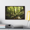 Rainforest Trails & Views - Gallery Canvas Wraps, Horizontal Frame - El Yunque National Forest - Puerto Rico - Circular view of the inner deep cloud forest - Green Forest Home
