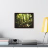 Rainforest Trails & Views - Gallery Canvas Wraps, Horizontal Frame - El Yunque National Forest - Puerto Rico - Circular view of the inner deep cloud forest - Green Forest Home