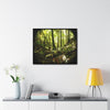 Rainforest Trails & Views - Gallery Canvas Wraps, Horizontal Frame - El Yunque National Forest - Puerto Rico - Circular view of the inner deep cloud forest - Green Forest Home