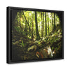 Rainforest Trails & Views - Gallery Canvas Wraps, Horizontal Frame - El Yunque National Forest - Puerto Rico - Circular view of the inner deep cloud forest - Green Forest Home