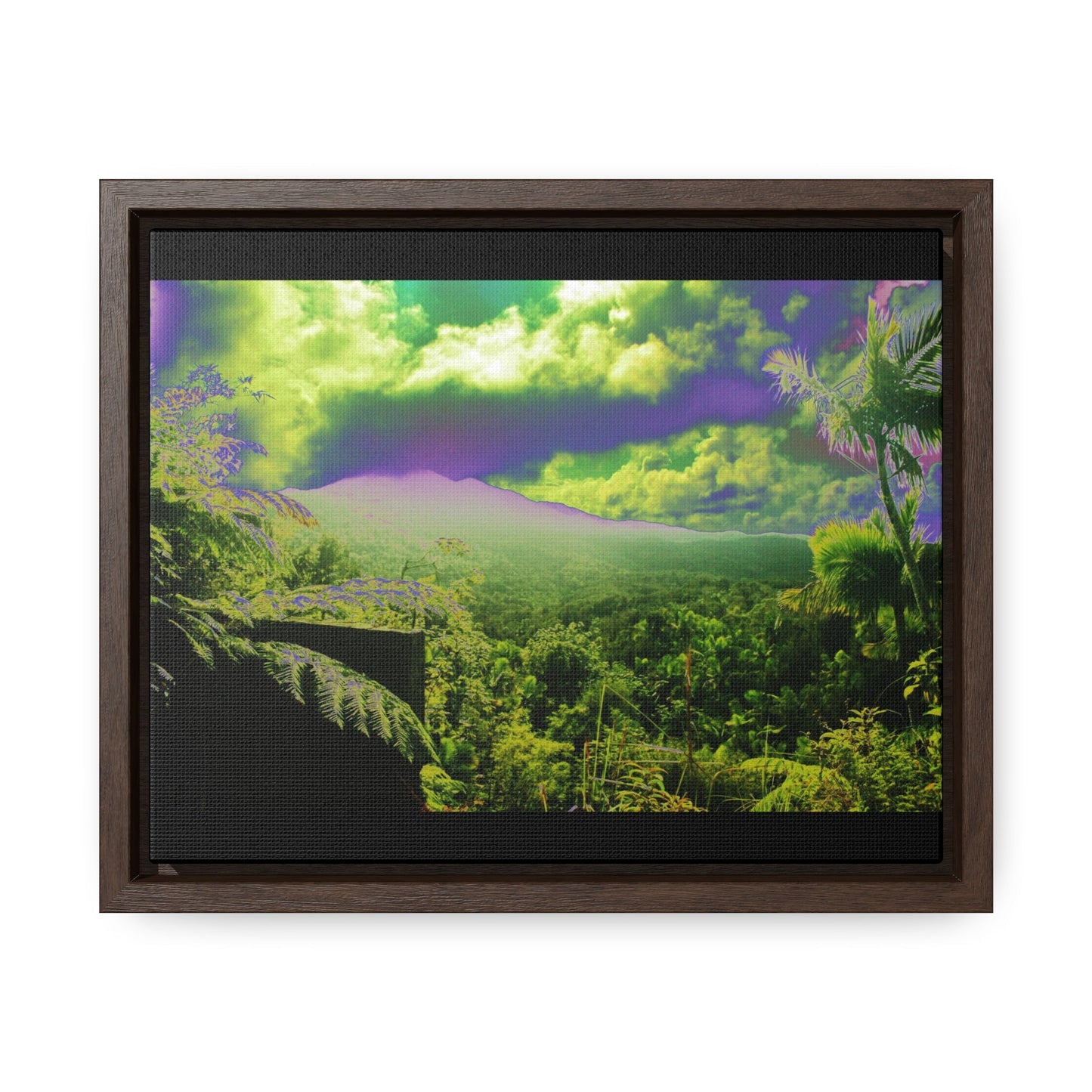 Rainforest Trails & Views - Gallery Canvas Wraps, Horizontal Frame - El Yunque National Forest - Puerto Rico - Closed PR 191 road view - color enhanced - Green Forest Home