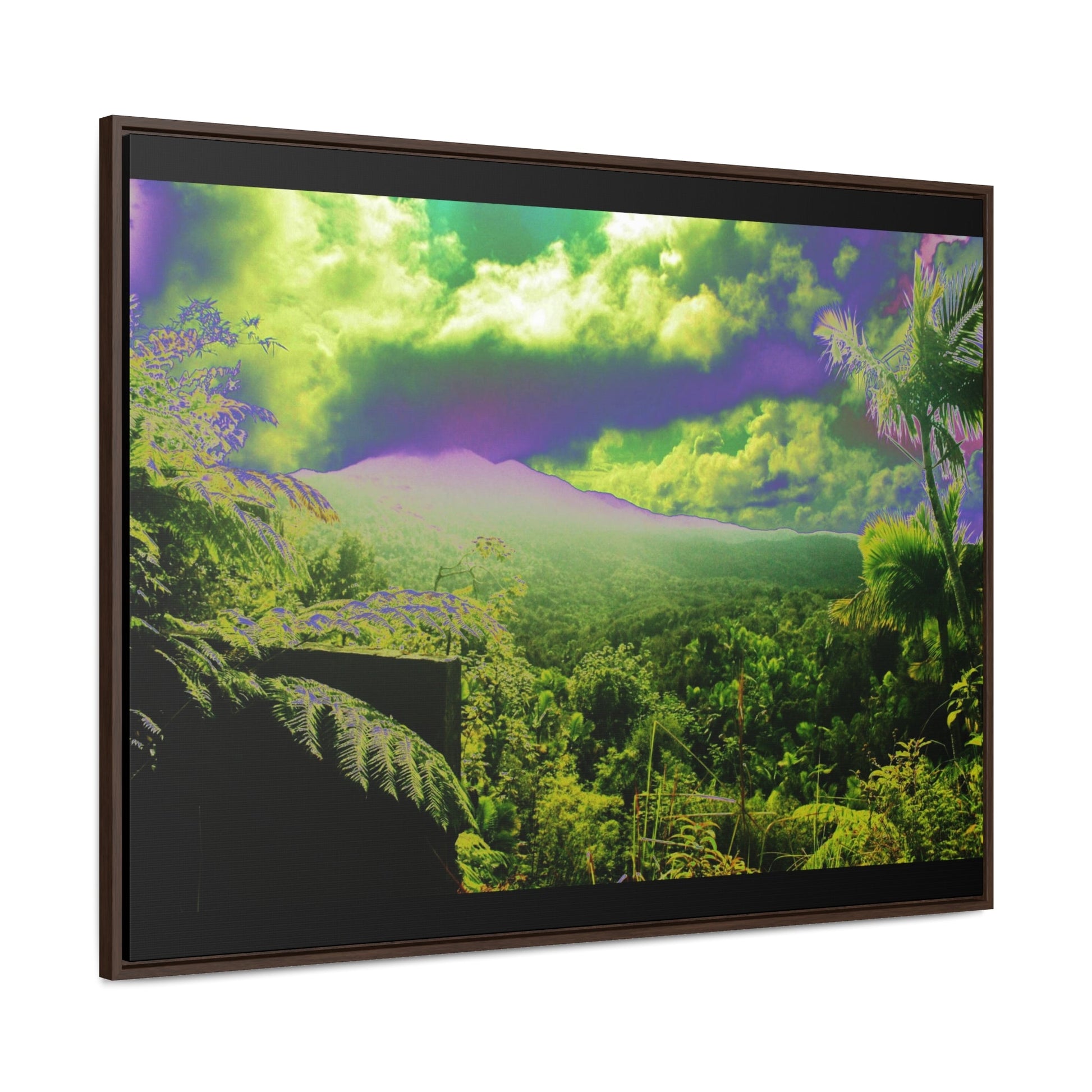 Rainforest Trails & Views - Gallery Canvas Wraps, Horizontal Frame - El Yunque National Forest - Puerto Rico - Closed PR 191 road view - color enhanced - Green Forest Home