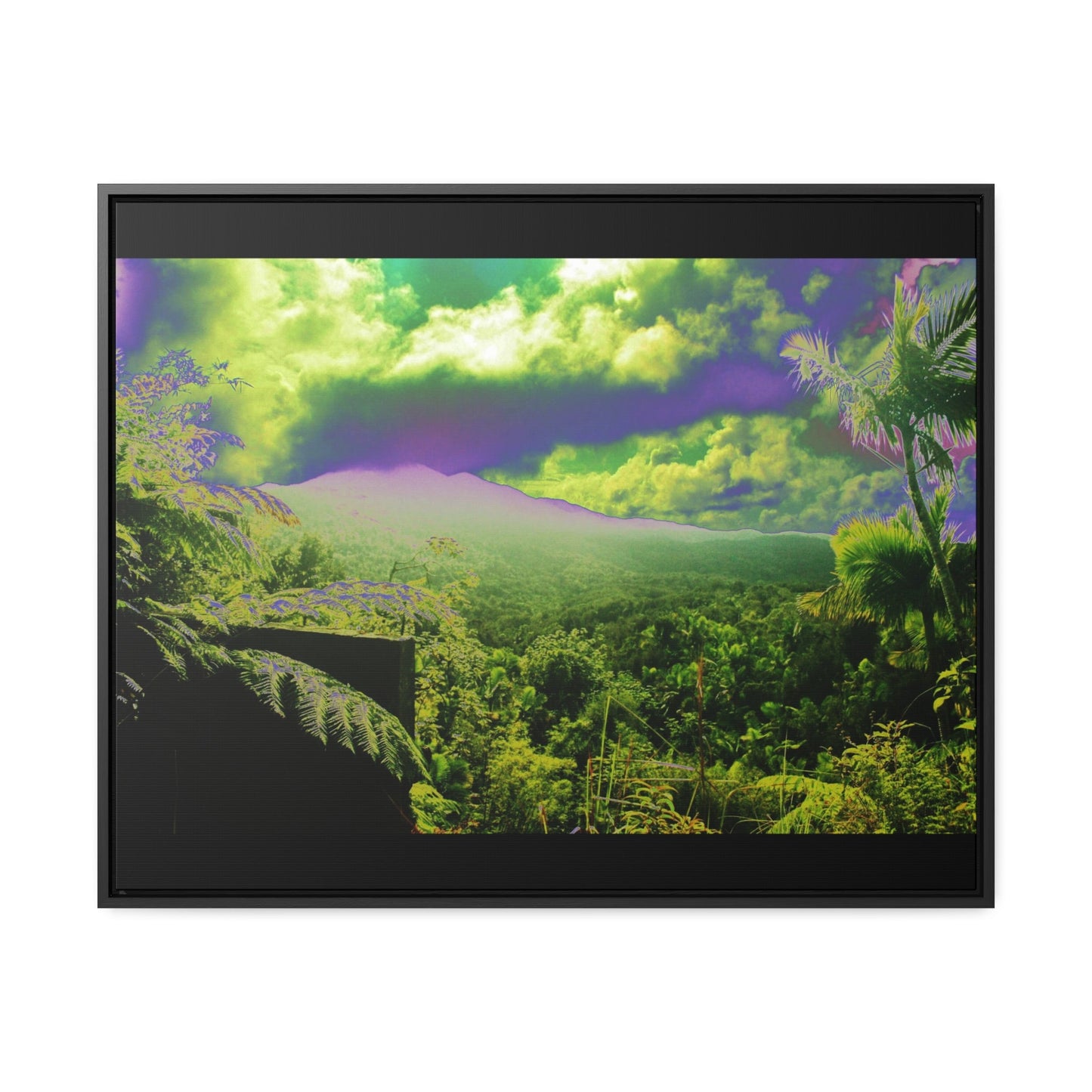 Rainforest Trails & Views - Gallery Canvas Wraps, Horizontal Frame - El Yunque National Forest - Puerto Rico - Closed PR 191 road view - color enhanced - Green Forest Home