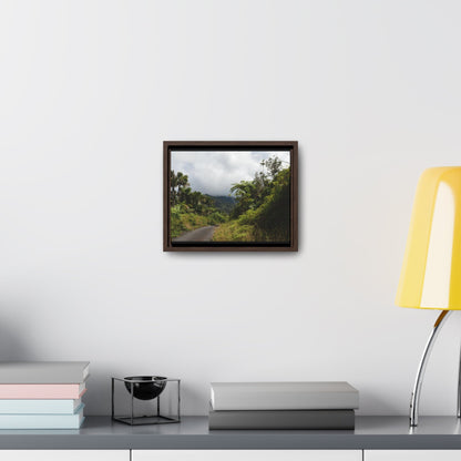 Rainforest Trails & Views - Gallery Canvas Wraps, Horizontal Frame - El Yunque National Forest - Puerto Rico - Closed PR191 forested road - Green Forest Home