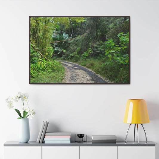 Rainforest Trails & Views - Gallery Canvas Wraps, Horizontal Frame - El Yunque National Forest - Puerto Rico - Closed PR191 forested road - Green Forest Home